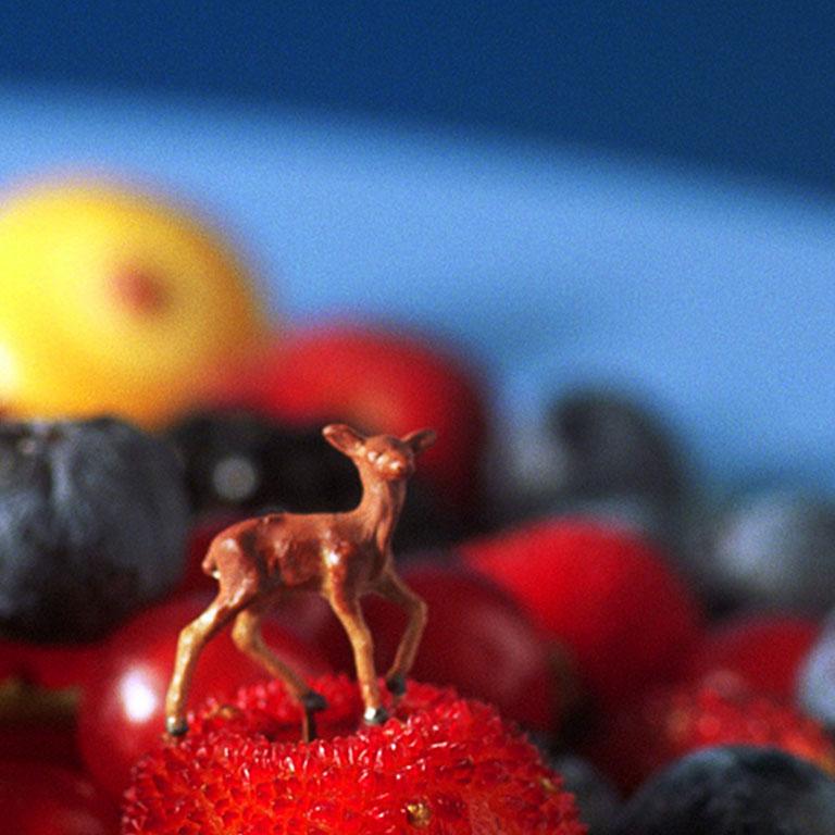 Fruit Plate - 21st Century, Contemporary, Miniature Photography on Plexi 2