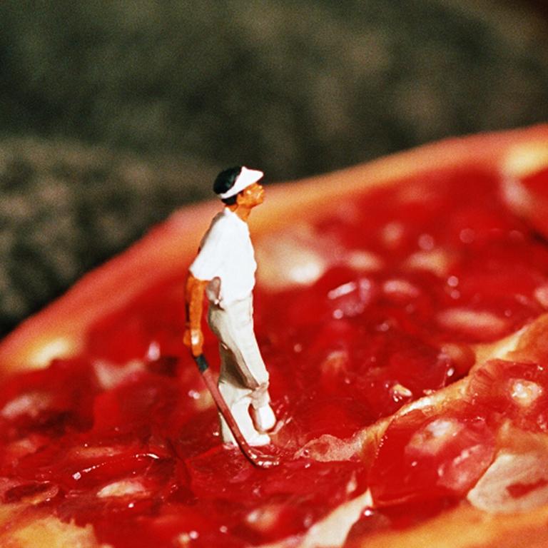 Granate - 21st Century, Contemporary, Miniature Photography, Pigment Print 1
