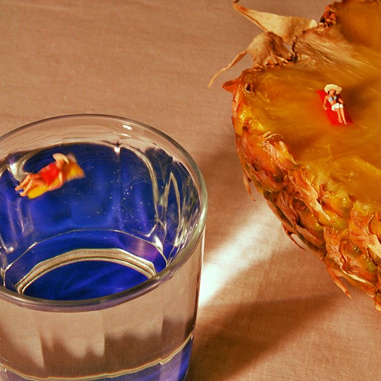 Pineapple - 21st Century, Contemporary, Miniature Photography on Plexi 1