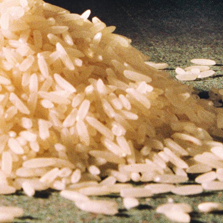 Rice - 21st Century, Contemporary, Miniature Photography, Pigment Print 2
