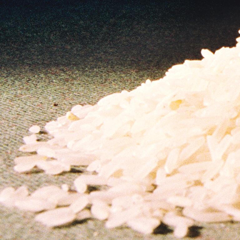 Rice - 21st Century, Contemporary, Miniature Photography, Pigment Print 4