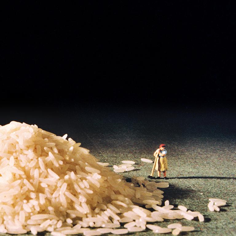 Rice - 21st Century, Contemporary, Miniature Photography, Pigment Print 5