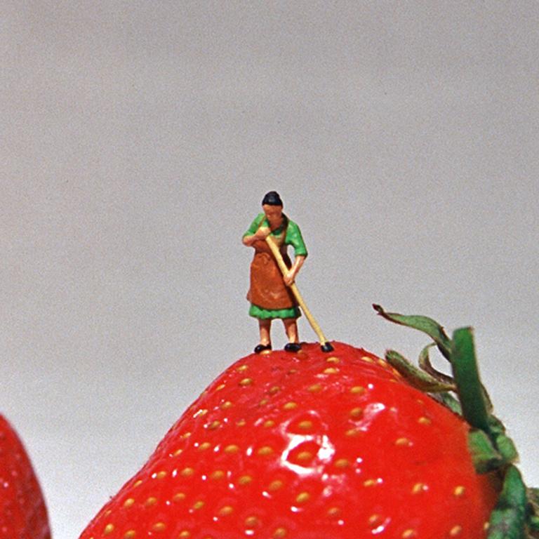 Strawberry - 21st Century, Contemporary, Miniature Photography, Pigment Print 1