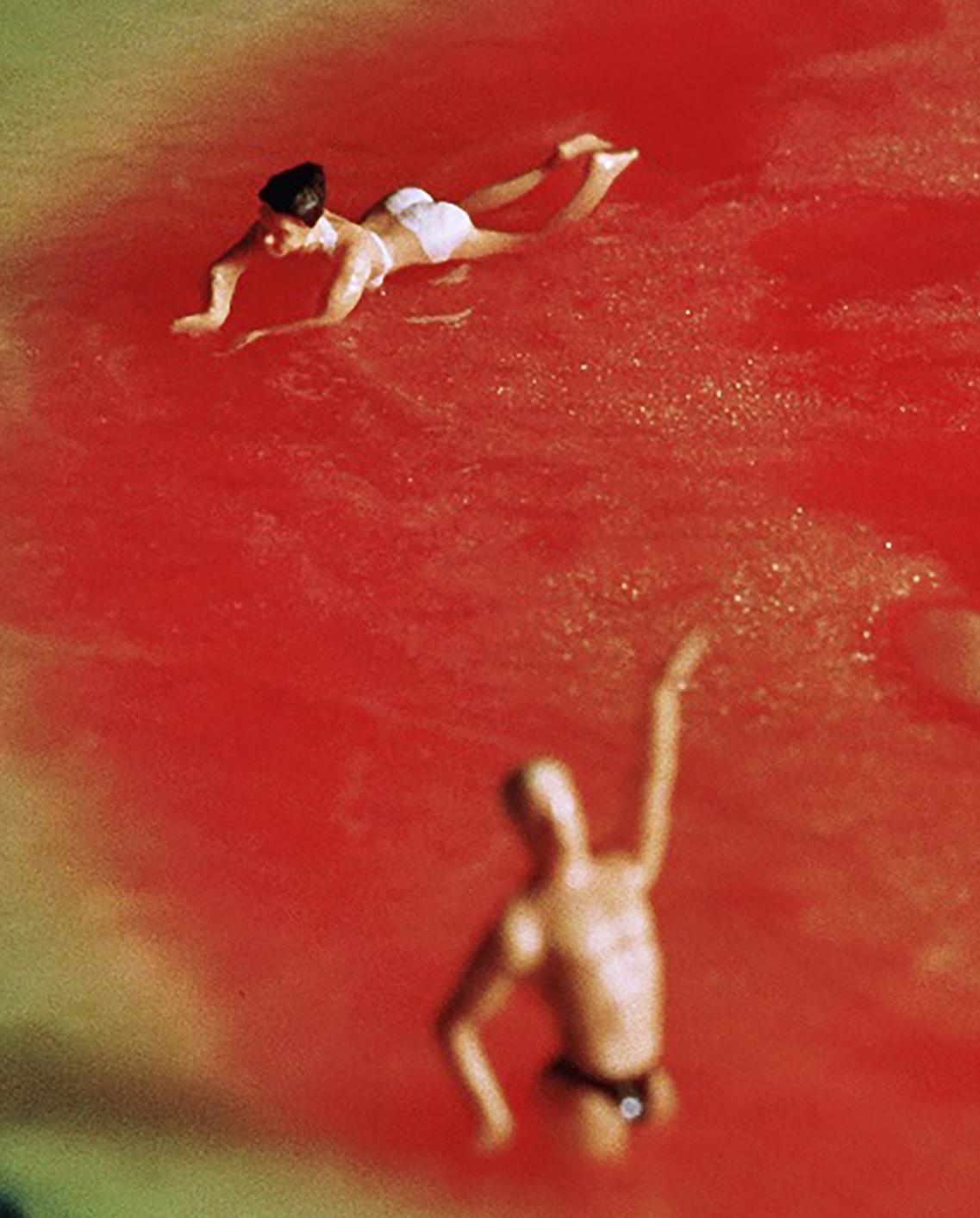 Water Melon - 21st Century, Contemporary, Miniature Photography, Pigment Print 1