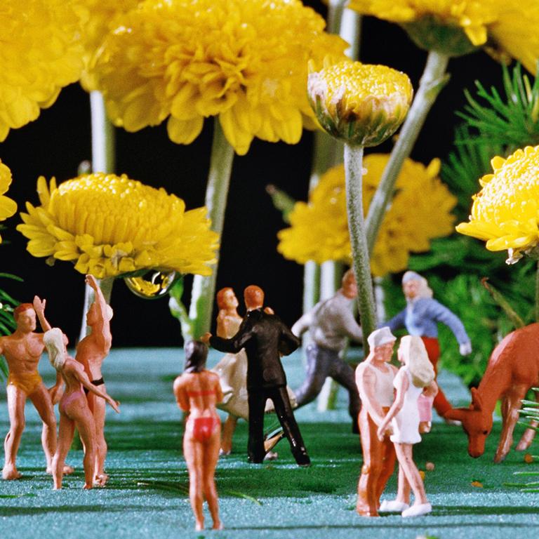 Yellow Flower Power - 21st Century, Contemporary, Miniature Photography 1