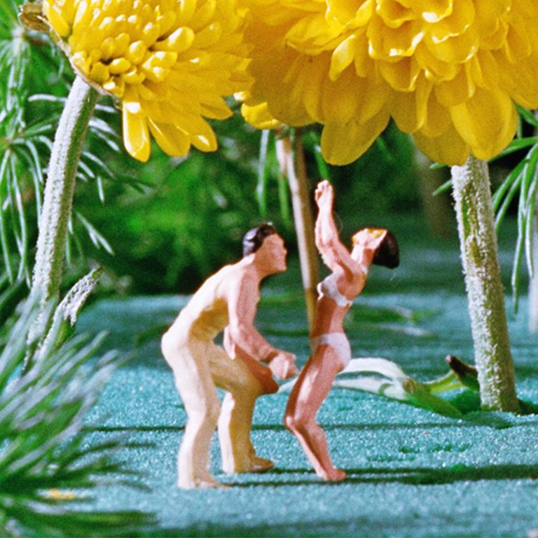 Yellow Flower Power - 21st Century, Contemporary, Miniature Photography 2