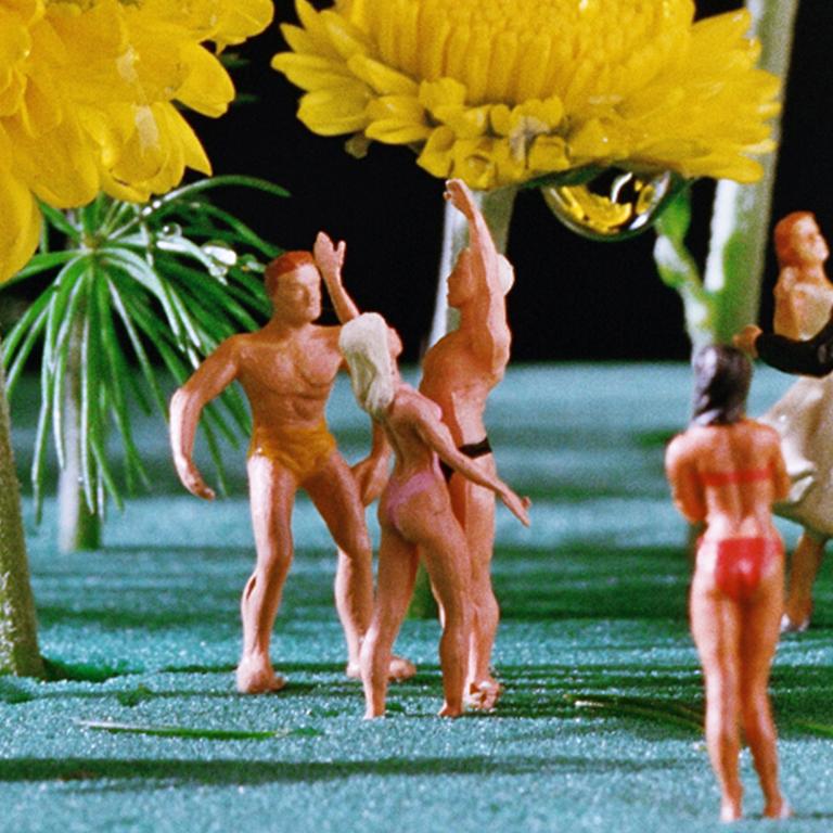 Yellow Flower Power - 21st Century, Contemporary, Miniature Photography on Plexi 3