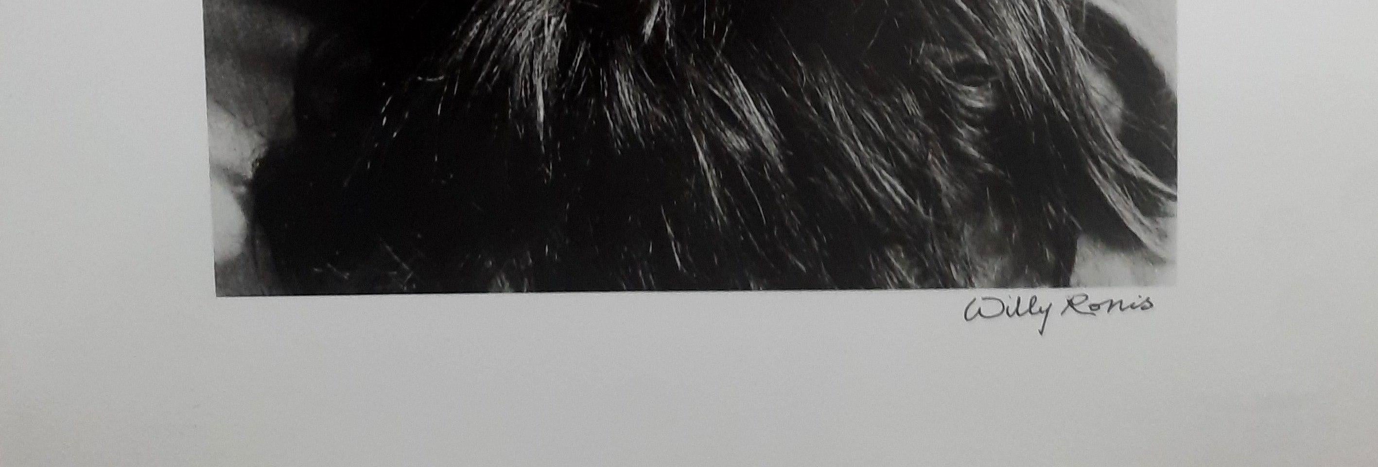 Humanistische Schwarz-Weiß-Fotografie 