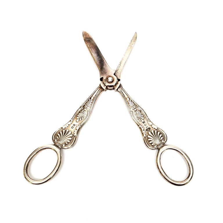 Wilson and Gill English Sterling Silver Grape Shears / Scissors at