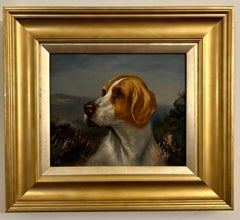 Portrait anglais ancien du 19e siècle représentant un chien de chasse de renard dans un paysage