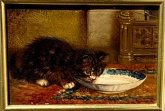 The Cats Cream, English Victorian, portrait of a Cat drinking from a saucer.