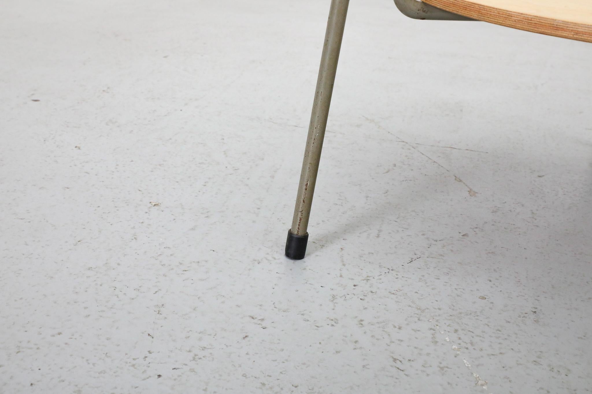 Wim Rietveld Model 