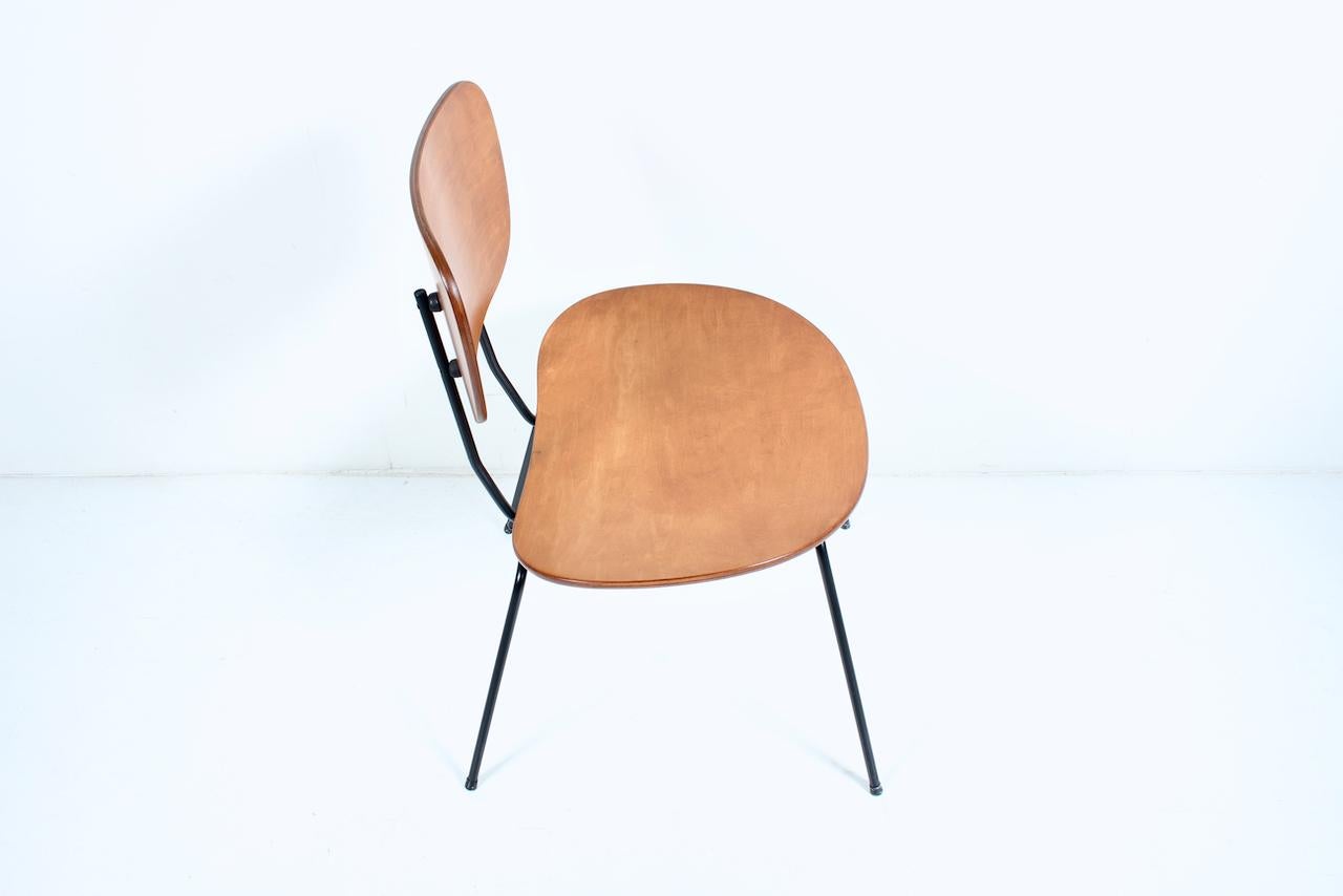 Wim Rietvield für Gispen Style, Buche, Bugholz und schwarzer Schreibtischstuhl, 1950er Jahre (20. Jahrhundert) im Angebot