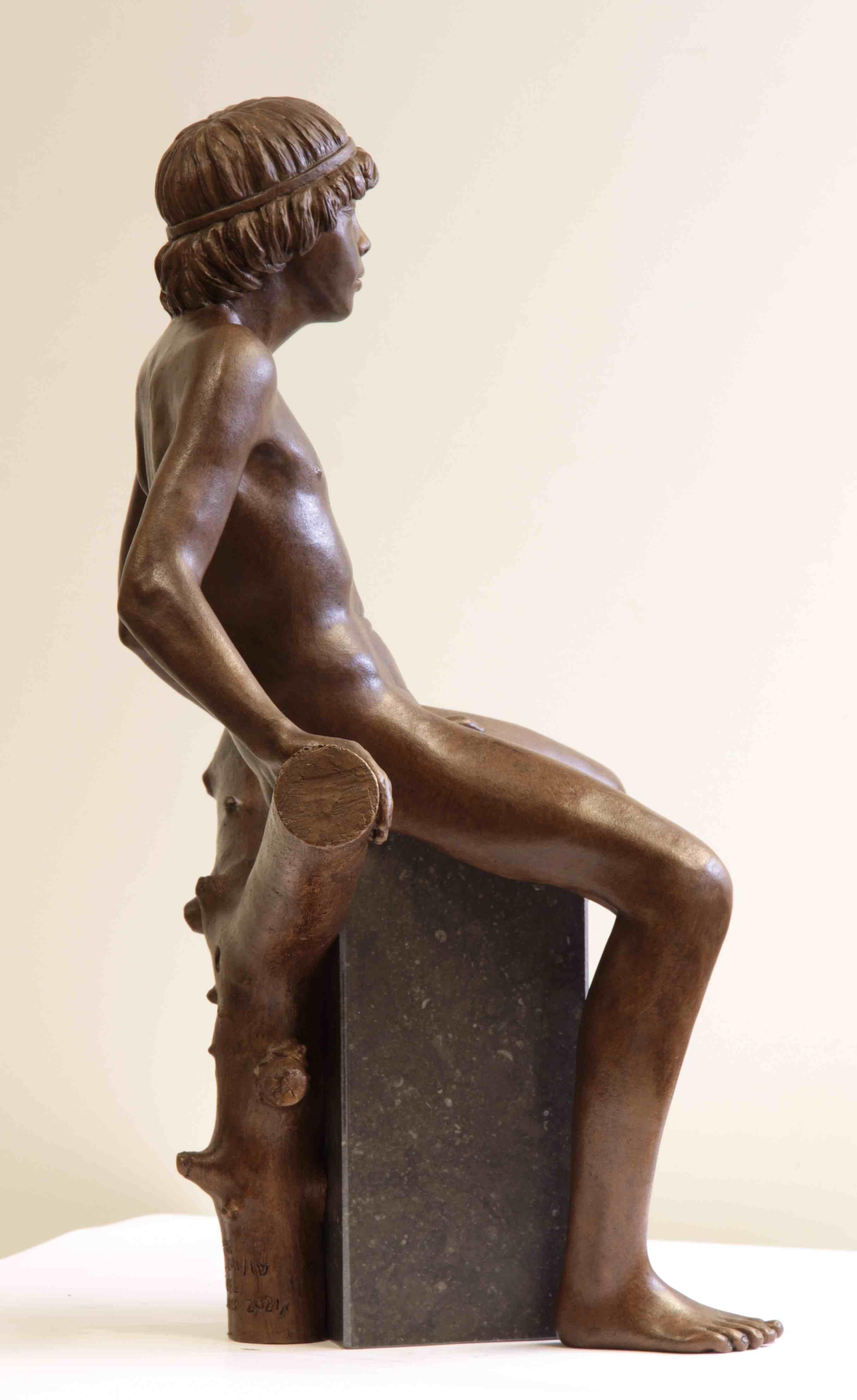 Ver Escultura de Bronce Figura Masculina Desnuda Niño - Nude Sculpture Oro de Wim van der Kant