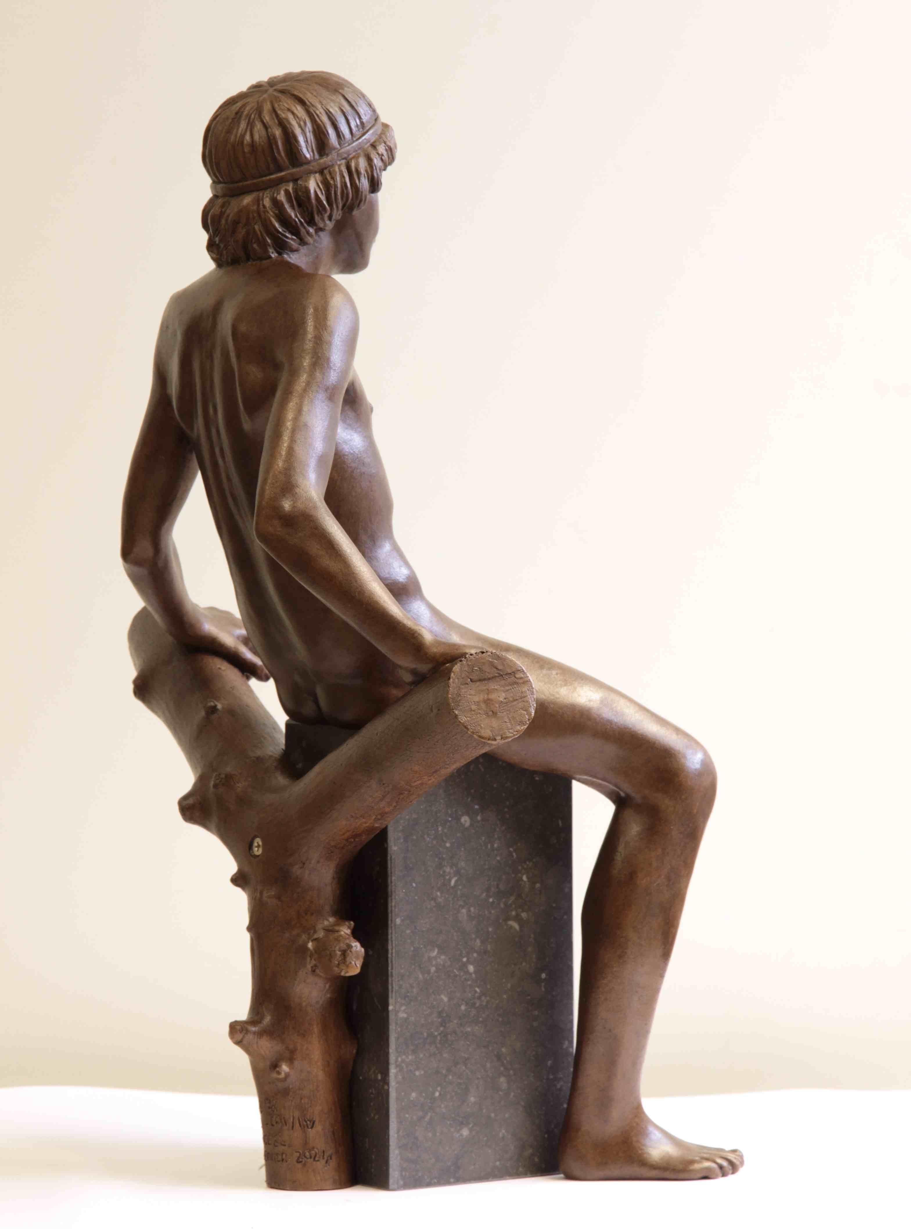 Ver Escultura de Bronce Figura Masculina Desnuda Niño 
Wim van der Kant (1949, Kampen) es un artista autodidacta. Junto a su ajetreada profesión de profesor de instituto, ejerce intensamente la de escultor. Sólo cuando su trabajo estuvo a la altura