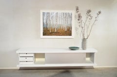Wim Wilson Floating Sideboard for Castelijn, Netherlands