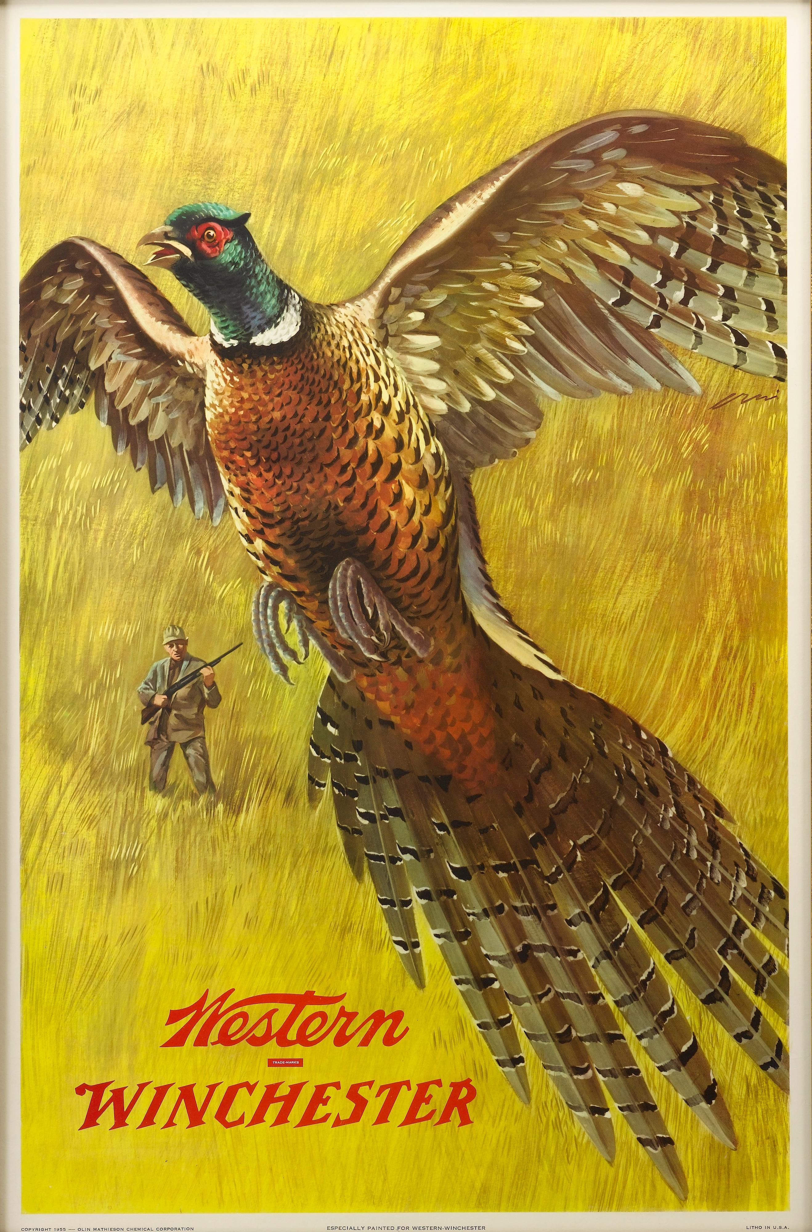 This vintage poster was made to advertise Winchester rifles by displaying game in its natural habitat, in this case a pheasant. The poster has a dramatic flying spread-wing pheasant in the foreground, with a lone hunter in the background. Both the
