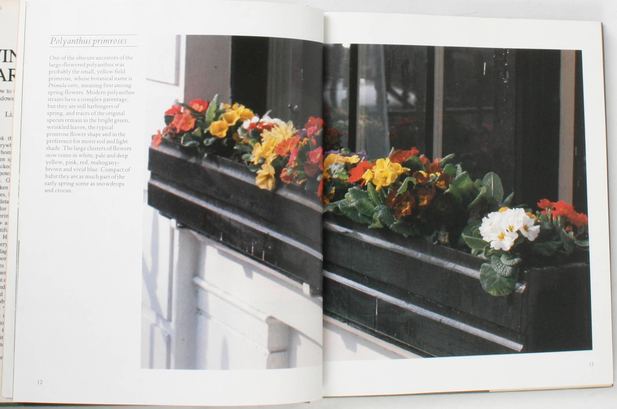 Window Gardens: How to Create Beautiful Windows Indoors and Out, by Lizzie Boyd. New York: Clarkson N. Potter, Inc. Publishers, 1985. Stated first American edition hard cover with dust jacket. 144 pp. A book on how to create beautiful window