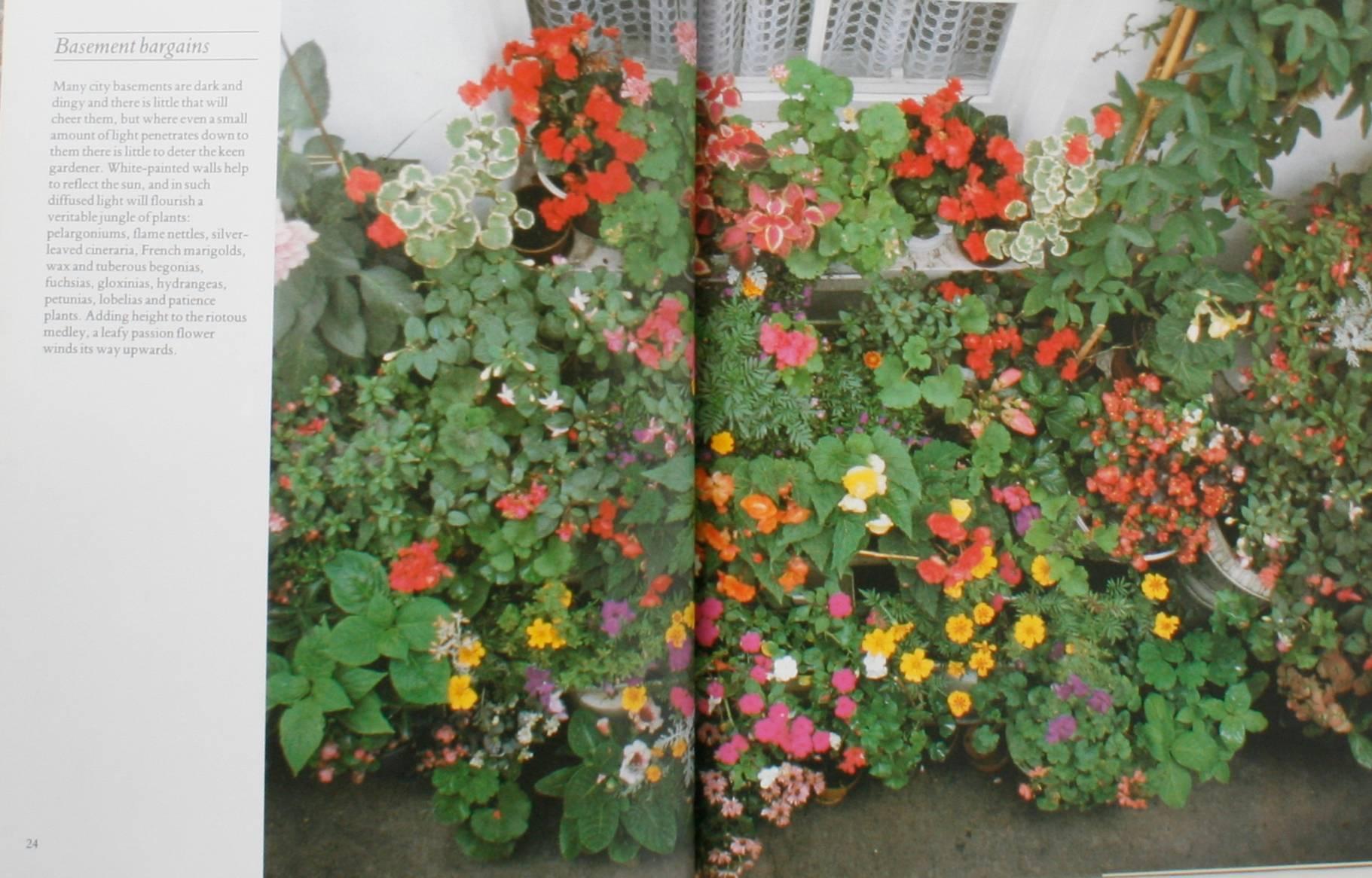 Window Gardens, How to Create Beautiful Windows Indoors and Out im Zustand „Gut“ im Angebot in valatie, NY