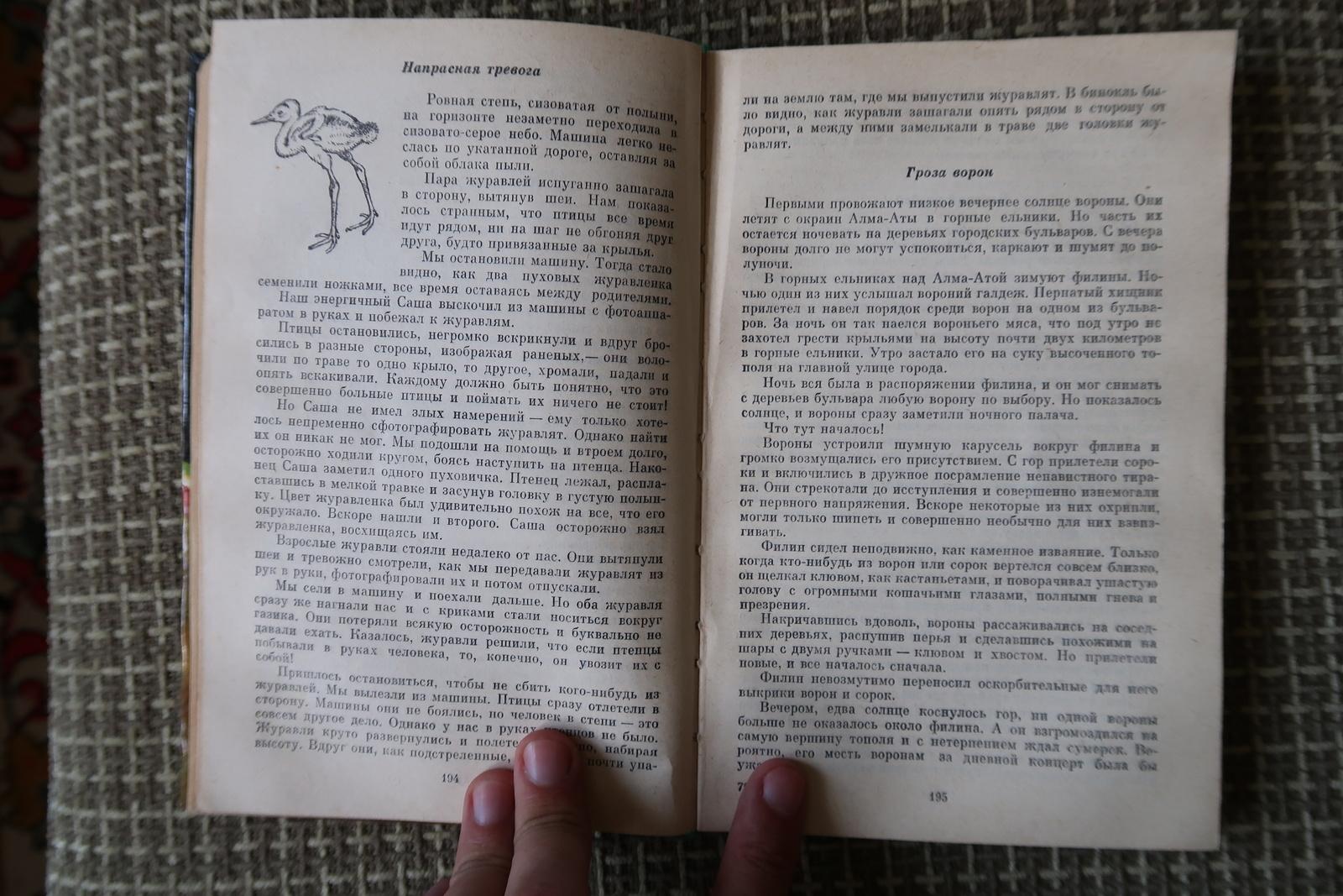 The Window to Nature : Histoires d'animaux et de nature de l'URSS, 1J161 en vente 2
