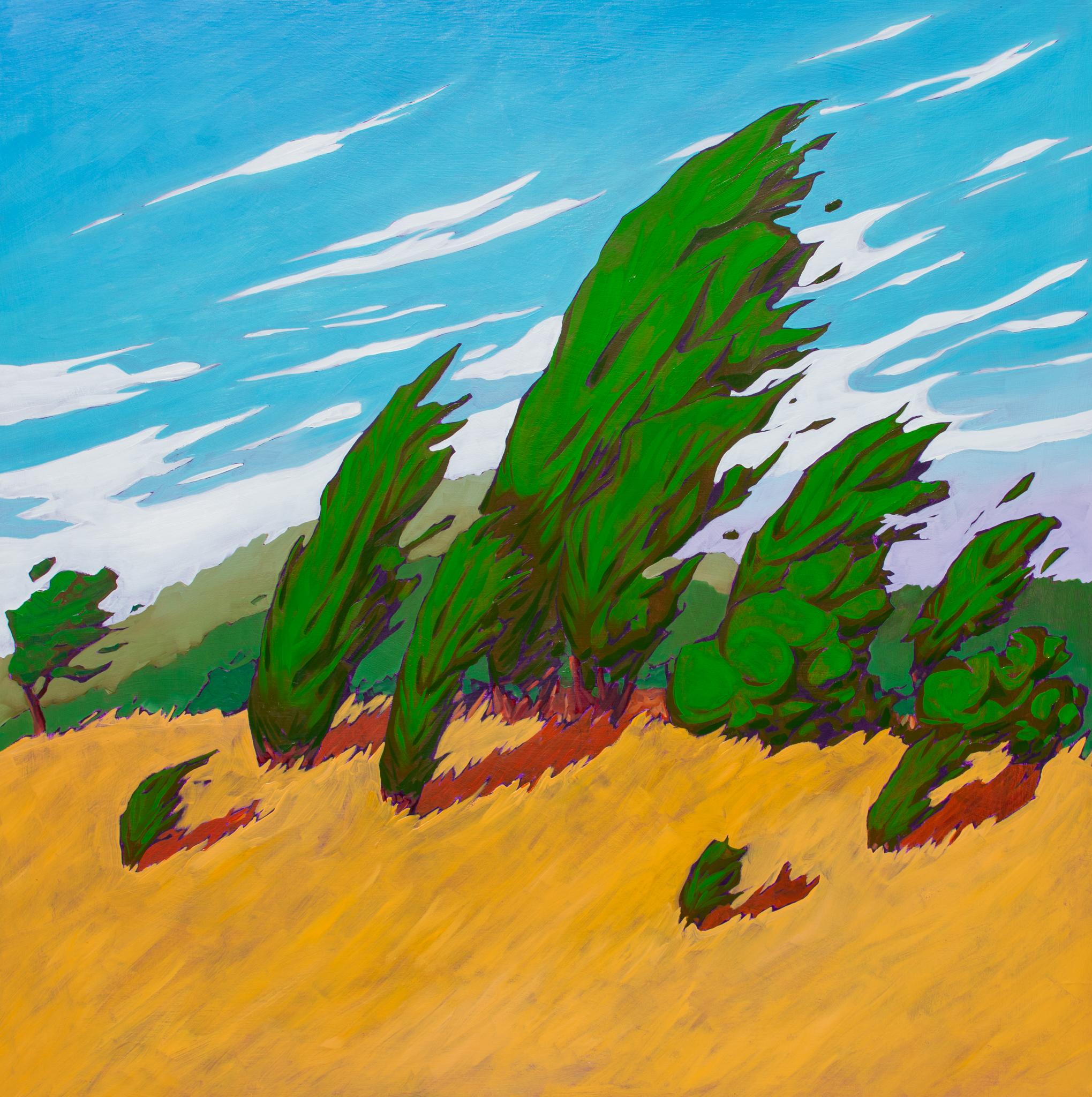 Windswept von James Mattison, 48x48, Öl auf Holz-Leinwand, 2023 (Moderne) im Angebot