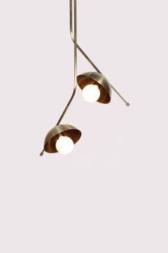 Wing 2 Brass Dome Pendant Lamp by Lamp Shaper