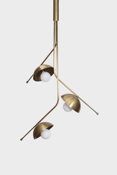 Wing 3 Brass Dome Pendant Lamp by Lamp Shaper