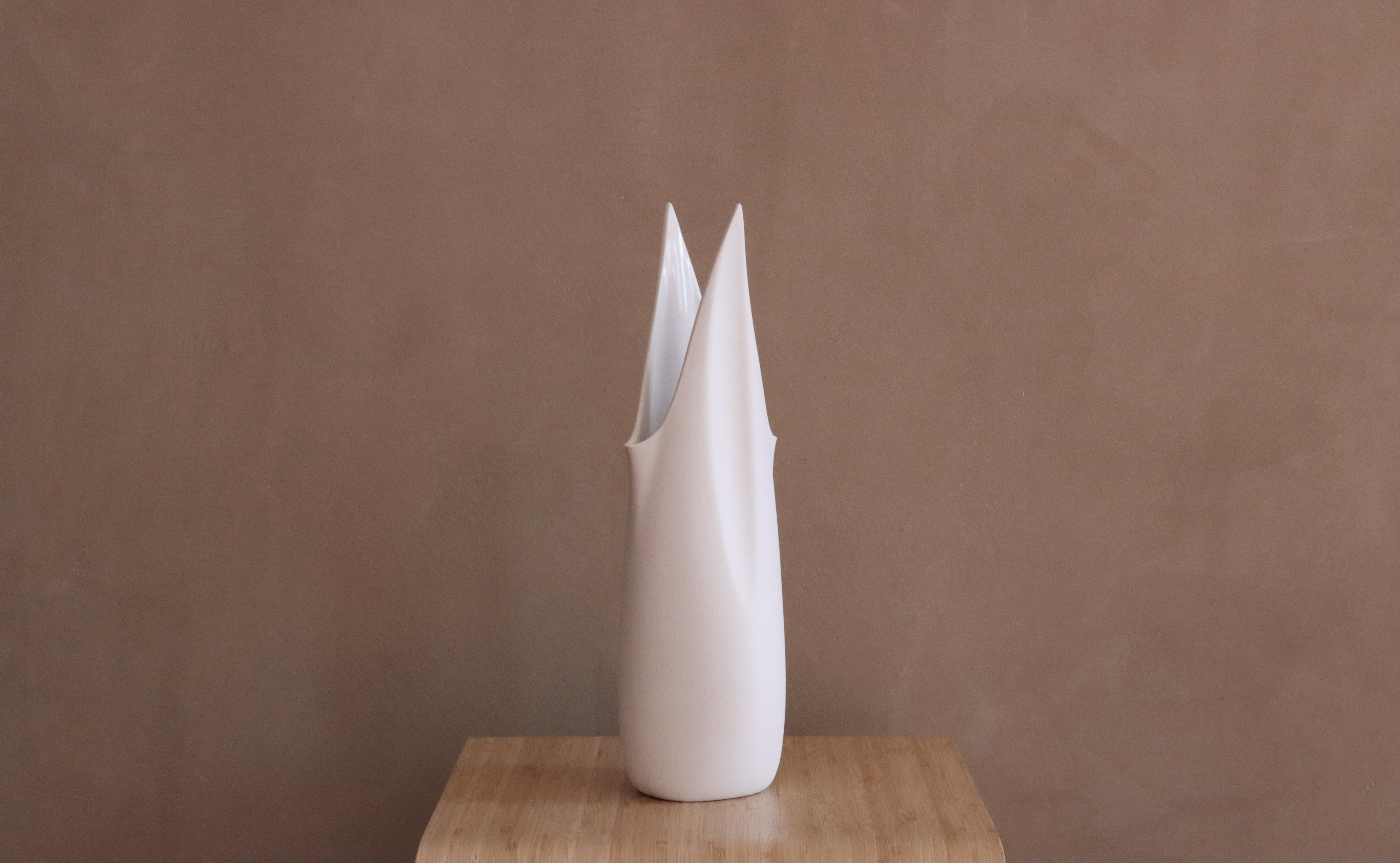 Wing Water Vessel. Terracotta - Matte For Sale 7