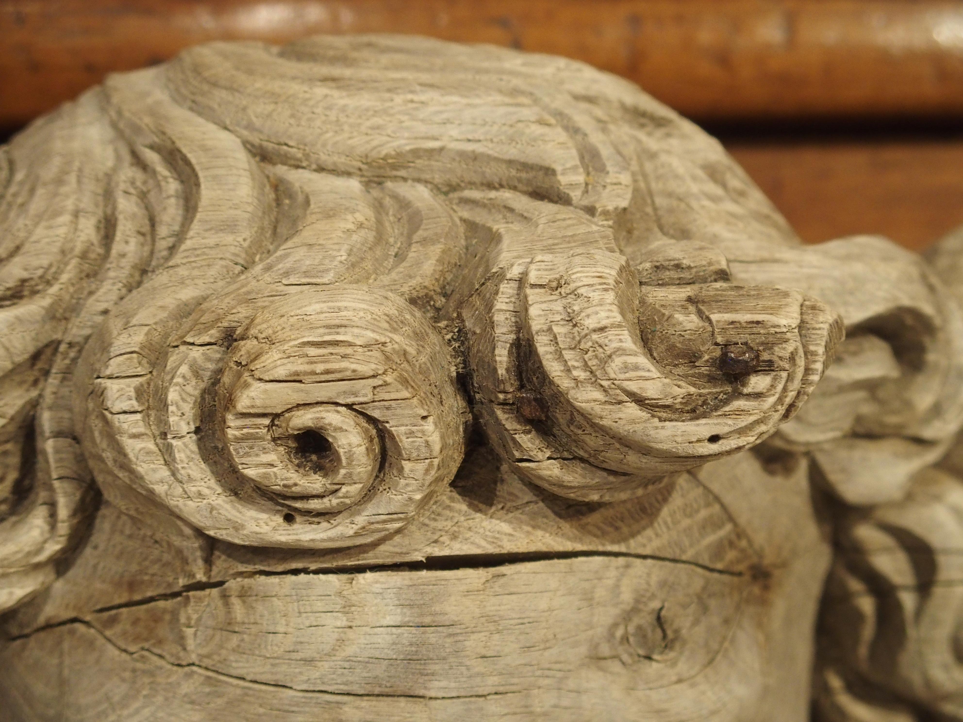 Winged Cherub Carving in Bleached Oak, France, Circa 1700 5