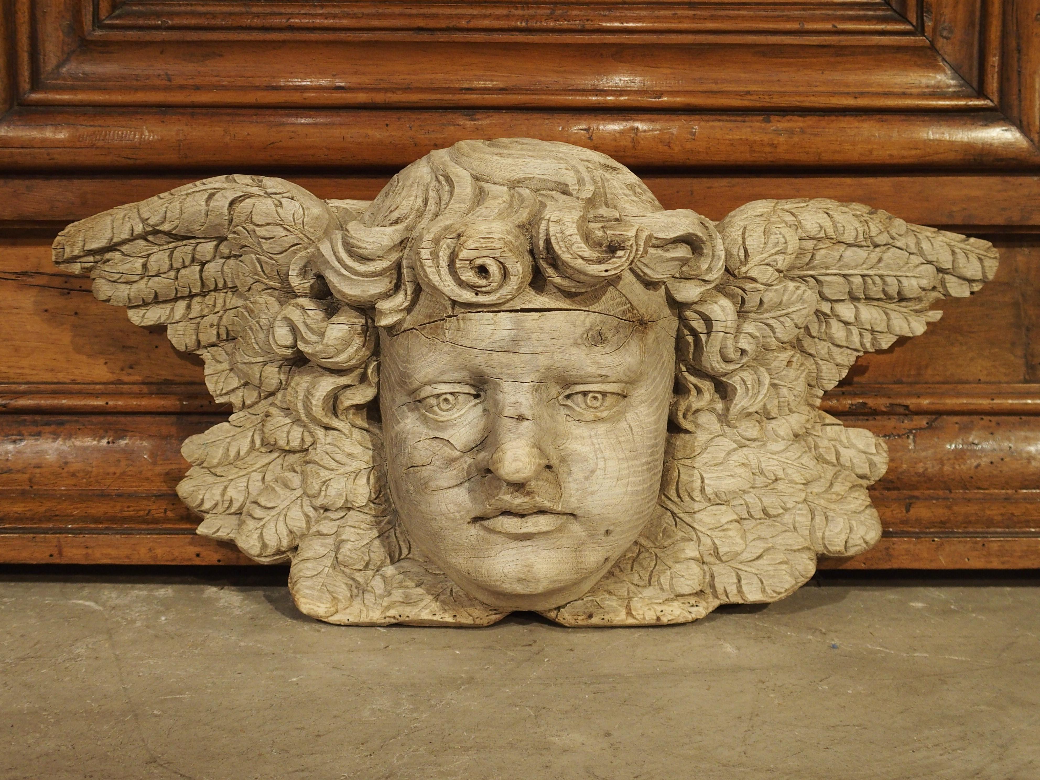 Winged Cherub Carving in Bleached Oak, France, Circa 1700 6