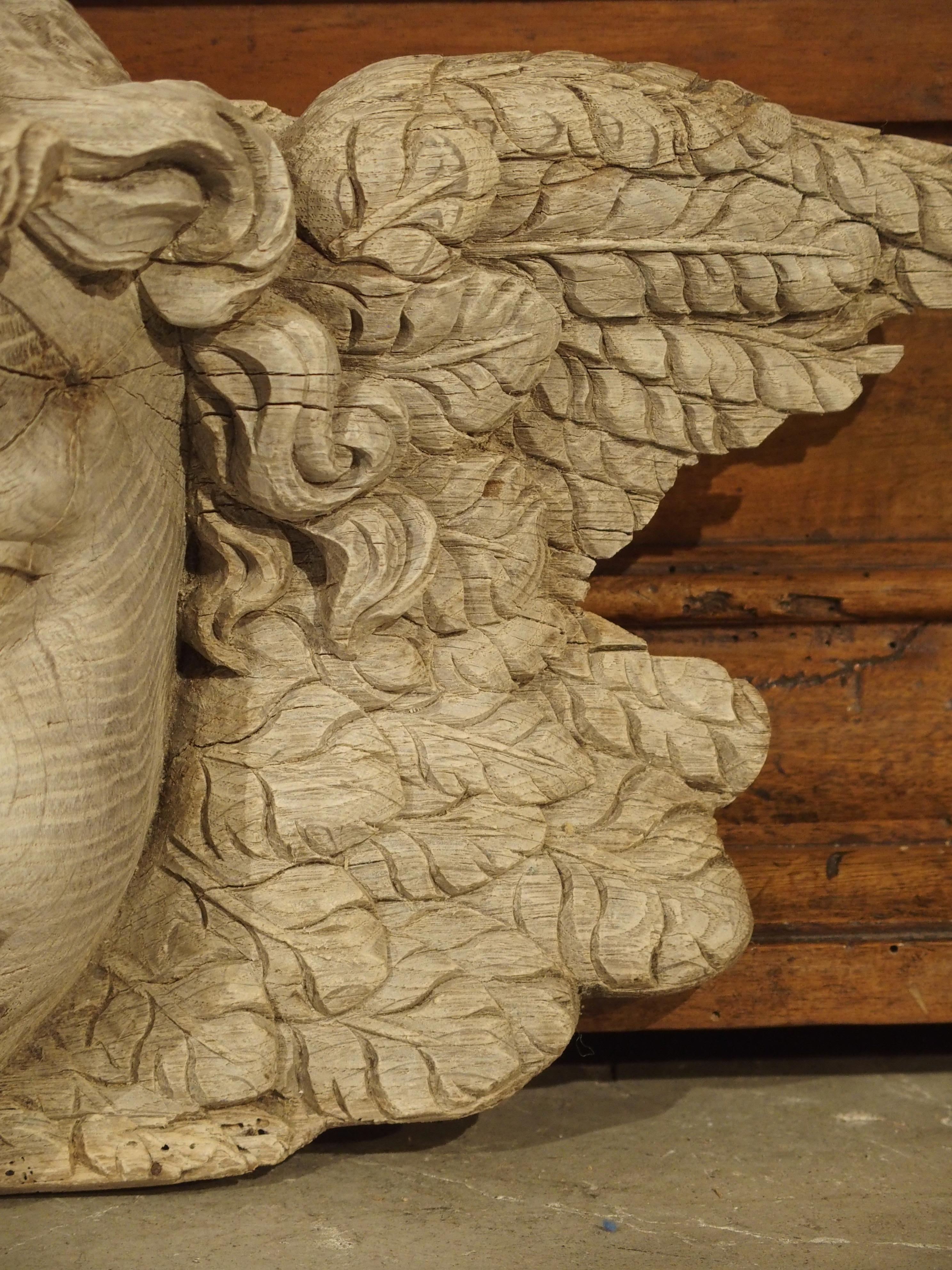 French Winged Cherub Carving in Bleached Oak, France, Circa 1700