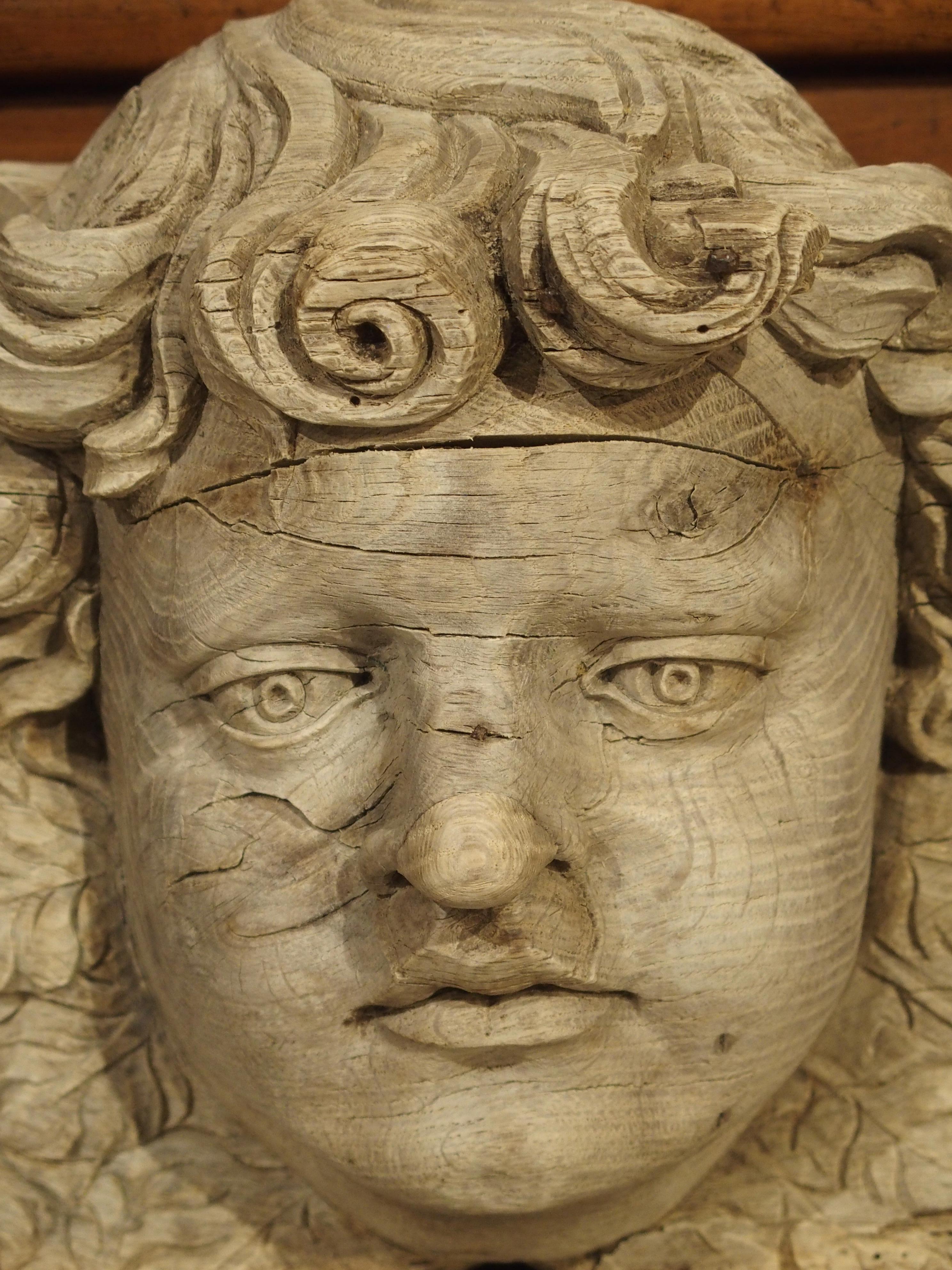 18th Century and Earlier Winged Cherub Carving in Bleached Oak, France, Circa 1700