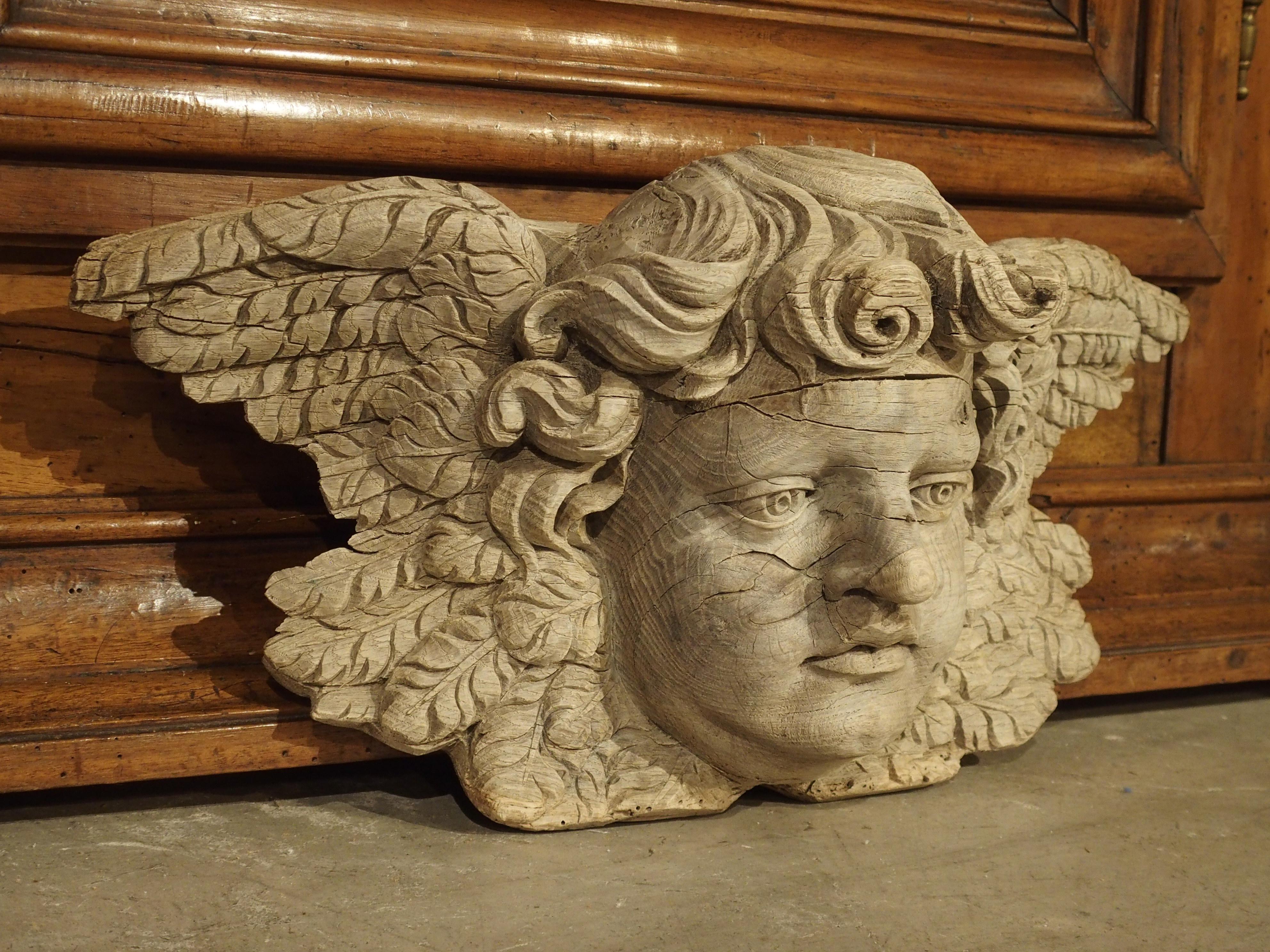 Winged Cherub Carving in Bleached Oak, France, Circa 1700 1