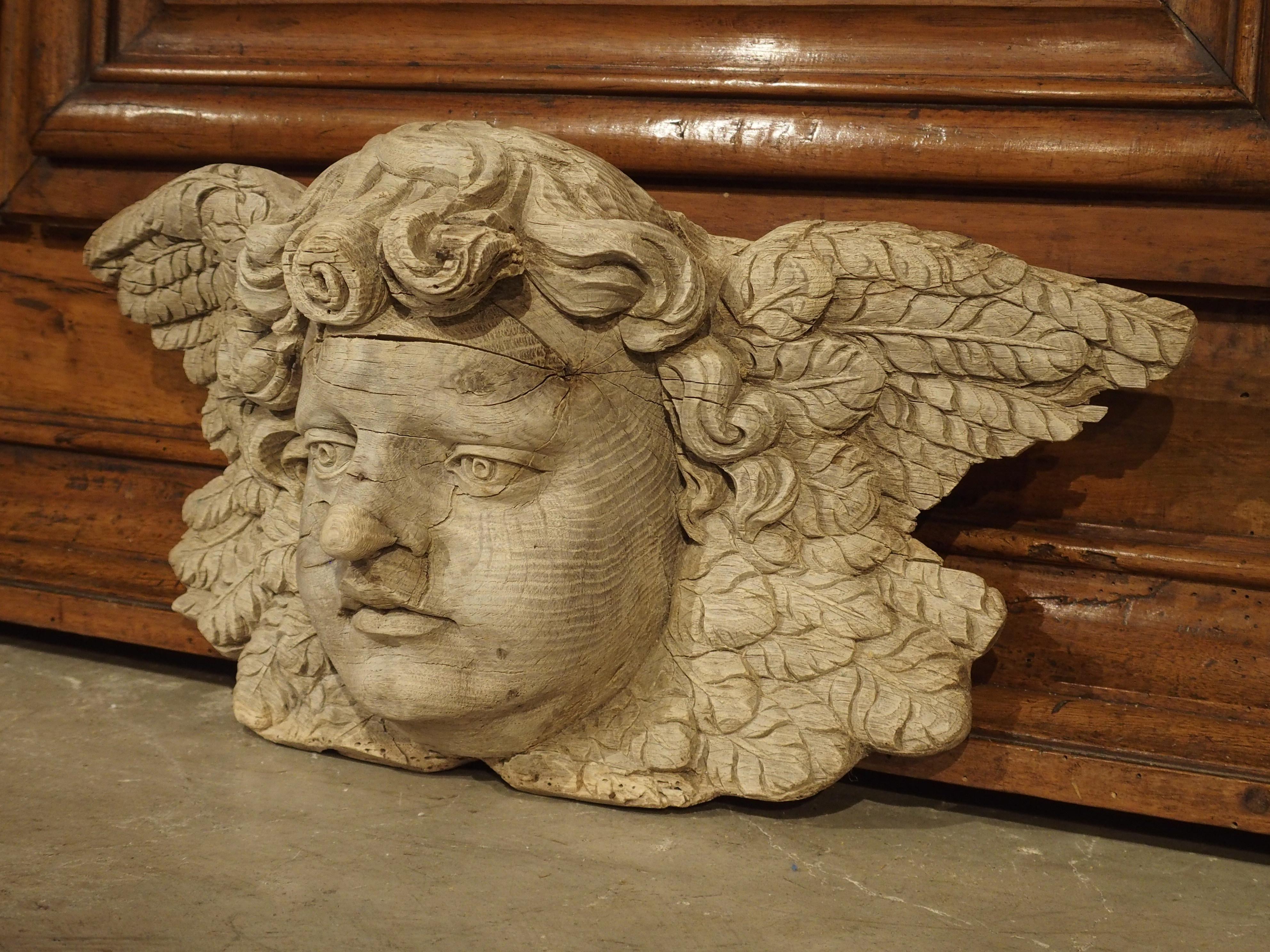 Winged Cherub Carving in Bleached Oak, France, Circa 1700 2
