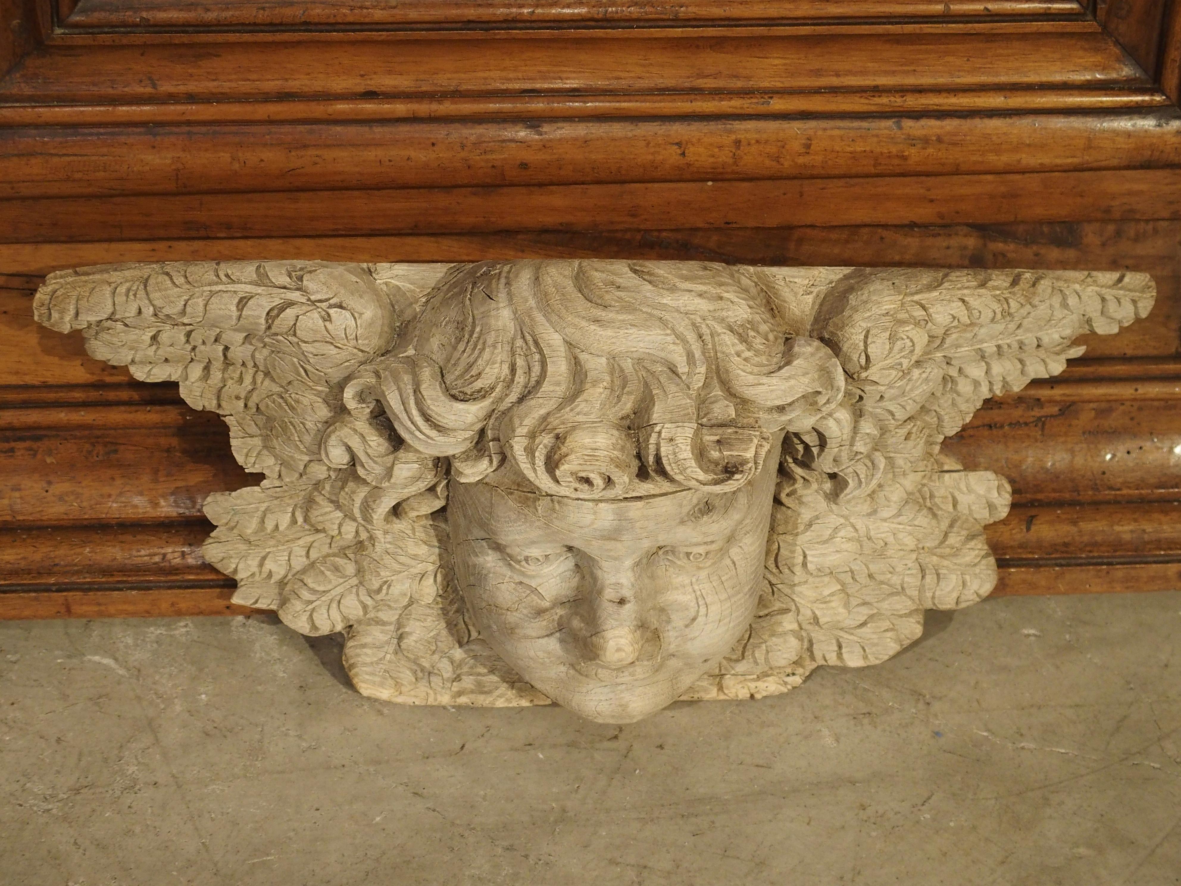 Winged Cherub Carving in Bleached Oak, France, Circa 1700 3