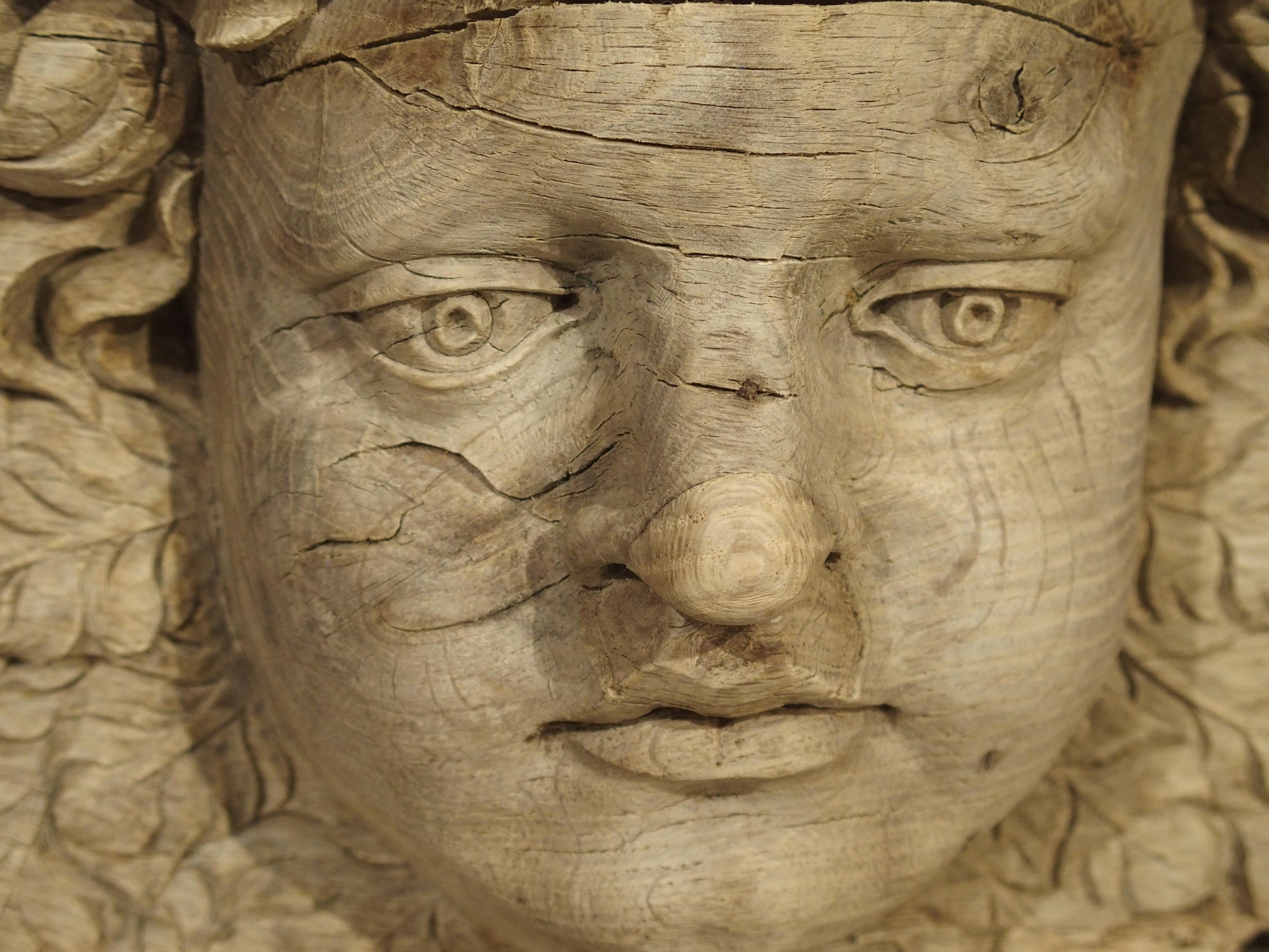 Winged Cherub Carving in Bleached Oak, France, Circa 1700 4