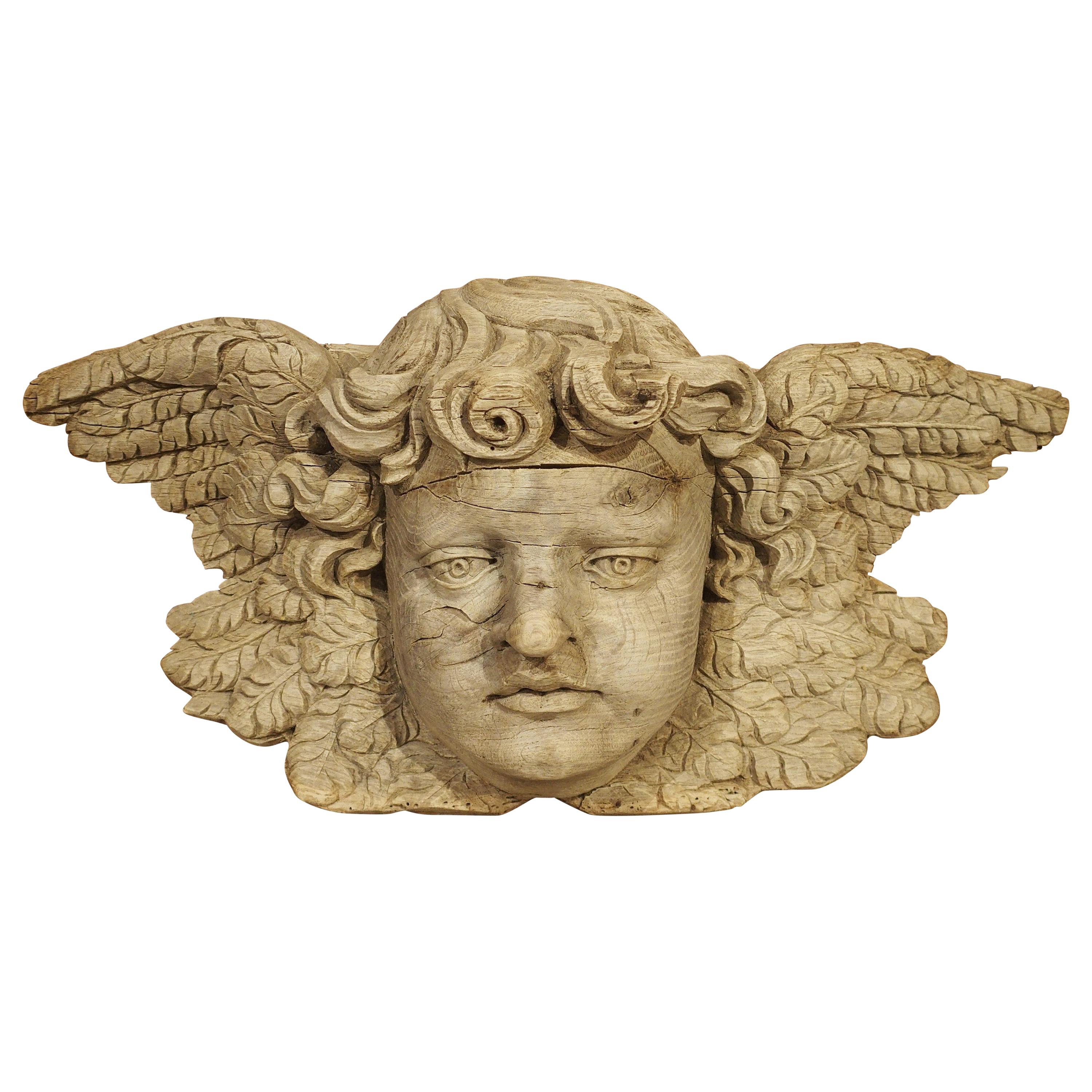 Winged Cherub Carving in Bleached Oak, France, Circa 1700