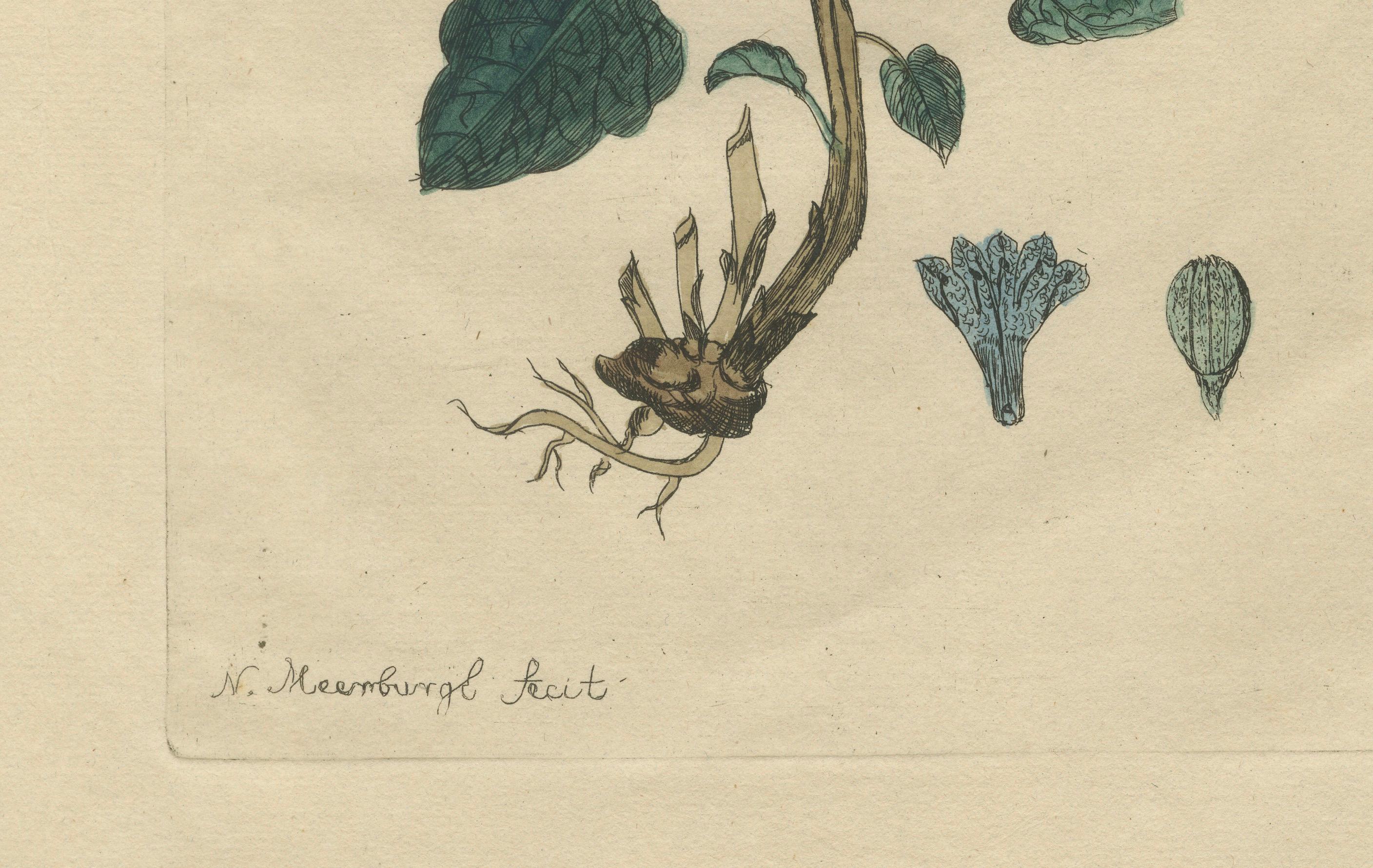 Wings and Wonders of the Garden – Rare Botanical and Butterfly Plates from 1775 In Good Condition For Sale In Langweer, NL