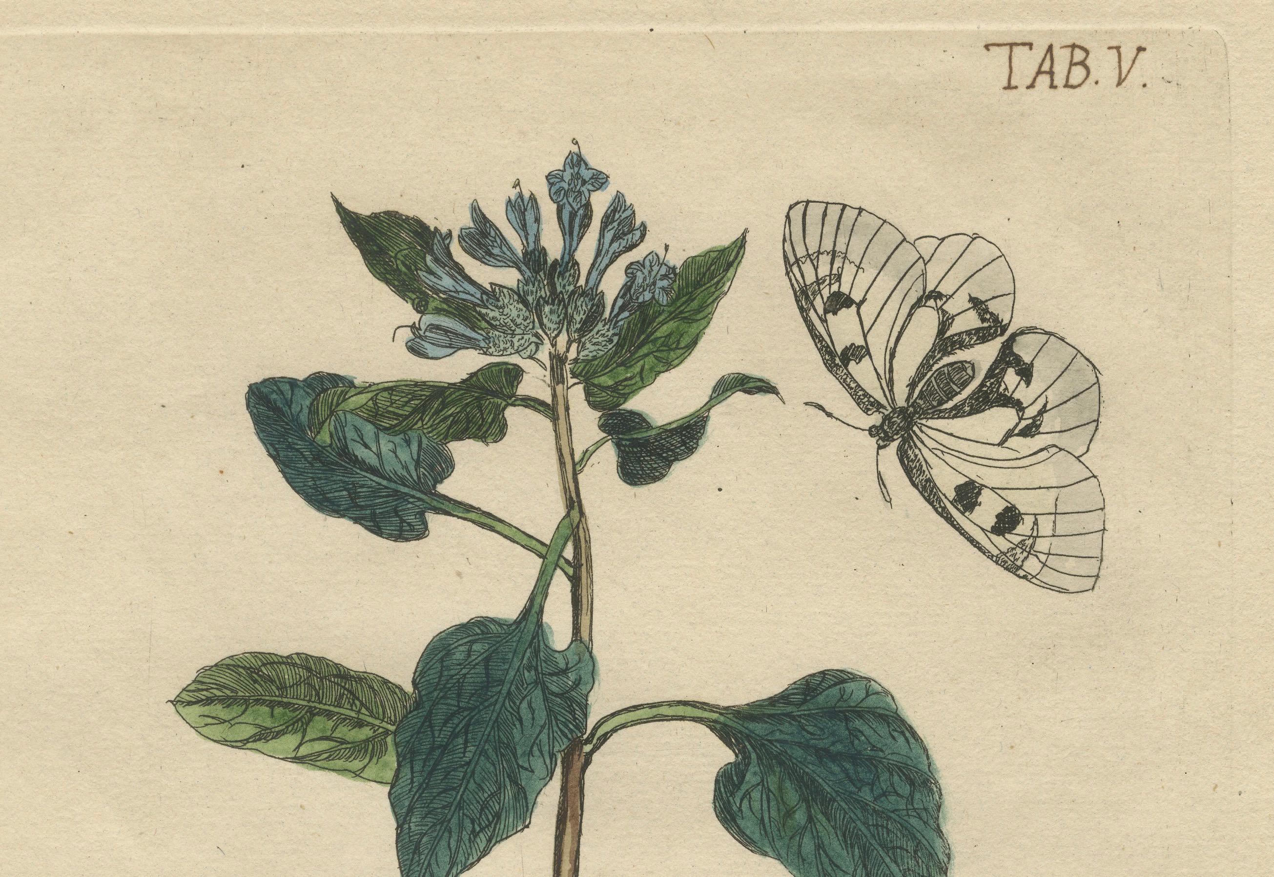 18th Century Wings and Wonders of the Garden – Rare Botanical and Butterfly Plates from 1775 For Sale