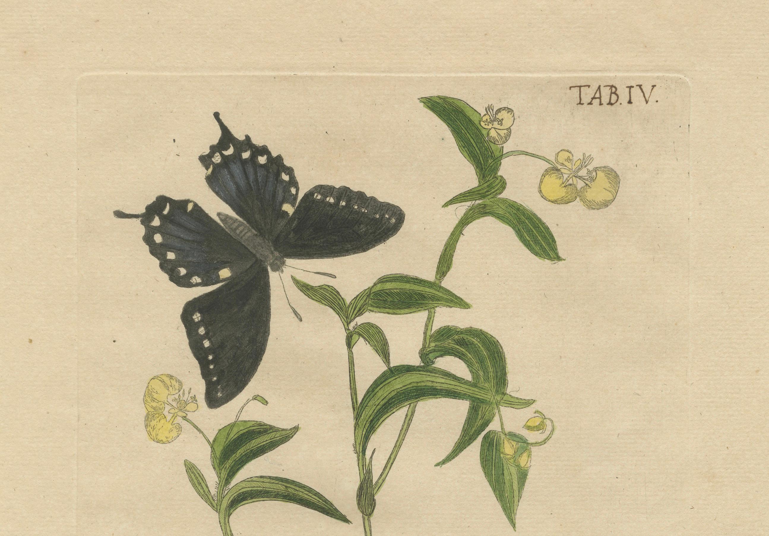 Wings and Wonders of the Garden – Rare Botanical and Butterfly Plates from 1775 For Sale 1