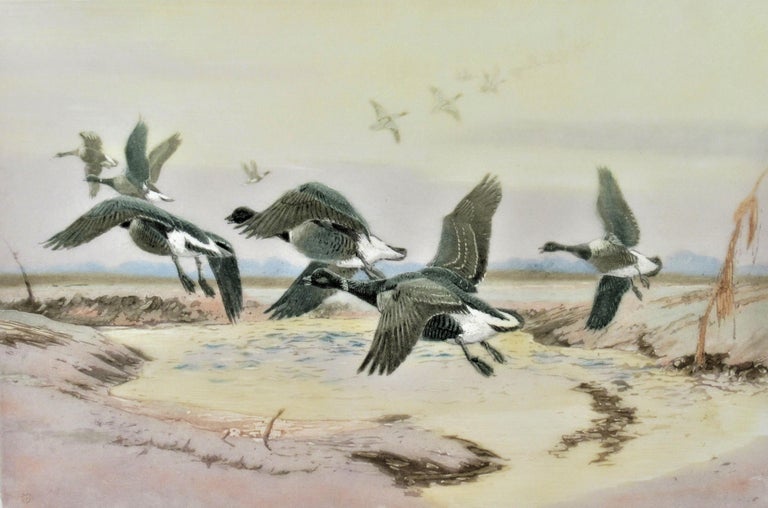 Black Geese - Print by Winifred Austen