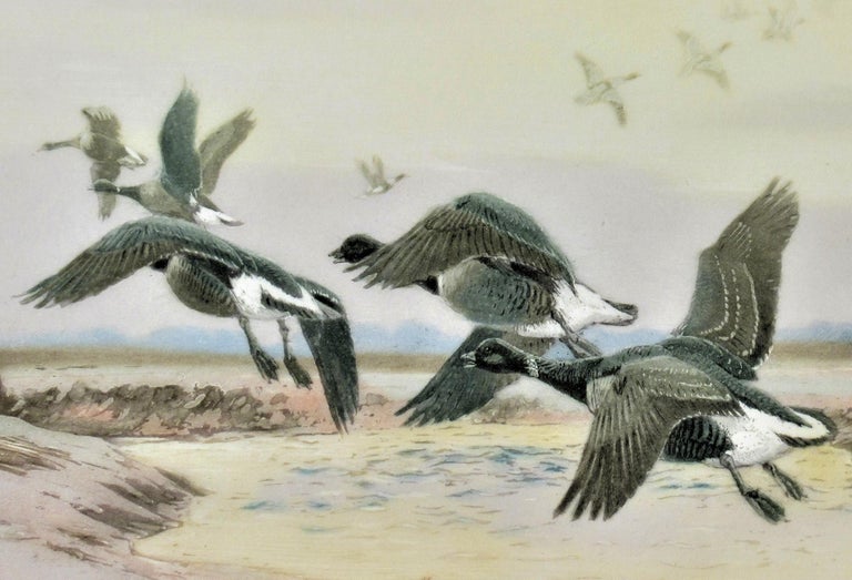 Black Geese - Realist Print by Winifred Austen