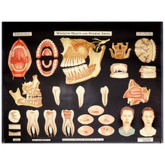Winslow Health & Hygiene Poster, Dental Hygiene