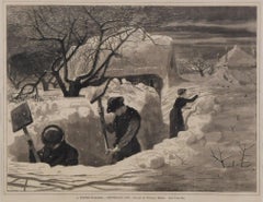 Adirondack snow scene, Winslow Homer, 1971, Birds