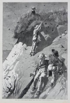 Abattant sur une colonie peu profonde en sable combien d'œufs sont-ils ? Gravure sur bois d'après la gravure de Winslow Homer 