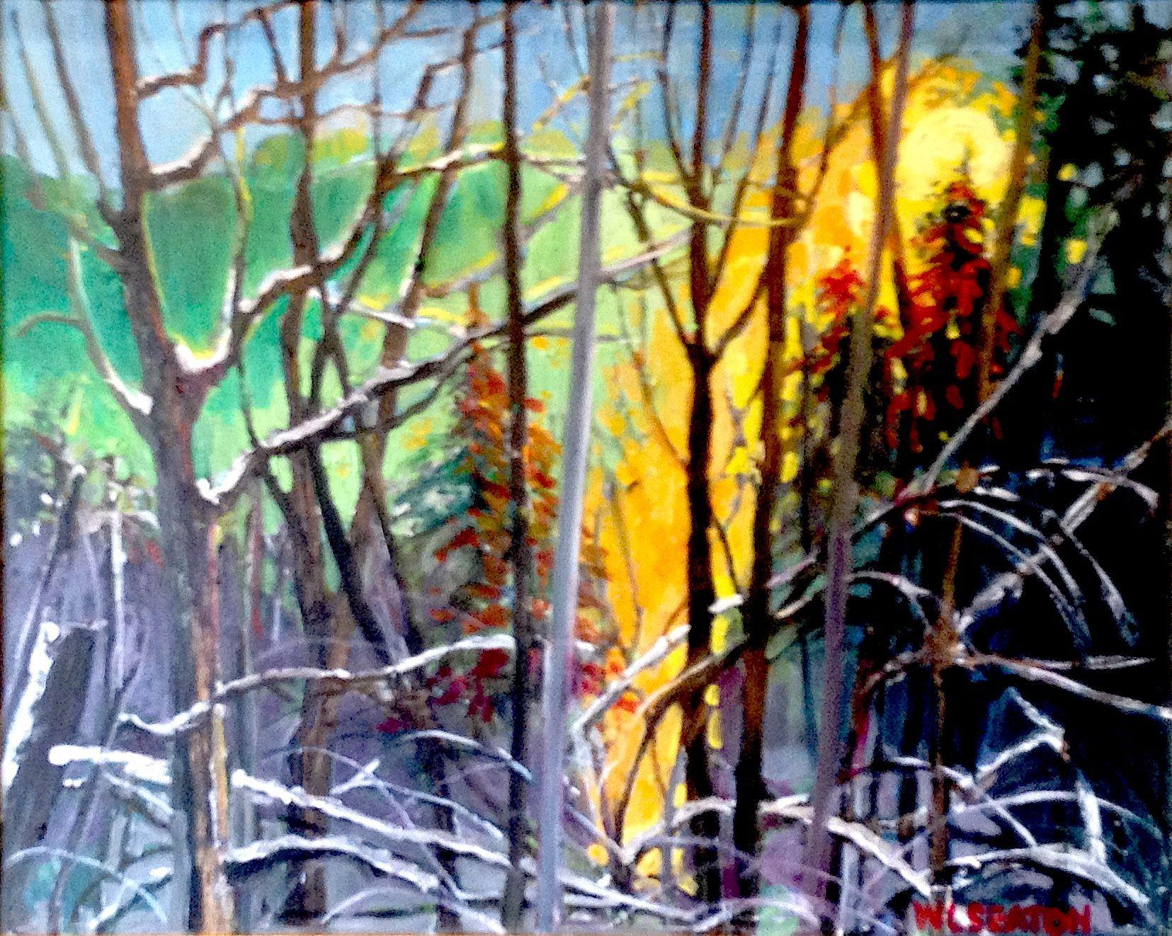 EVER PAINTING HAS A STORY: As I looked out my son's office window into the wooded ravine behind his house on Cottonwood Drive after a freezing rain hours earlier than showed the sun dancing on the frozen branches, using my iPhone captured the moment