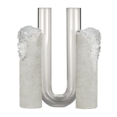 Cochlea Sviluppo Seasons, Vase von Coki Barbieri, Winter 1