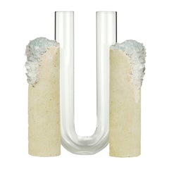 Vase „Cochlea Sviluppo Seasons“ von Coki Barbieri, Winter 2