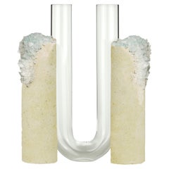 Vaso Winter 2 Cochlea Dello Sviluppo Seasons Edition di Coki Barbieri