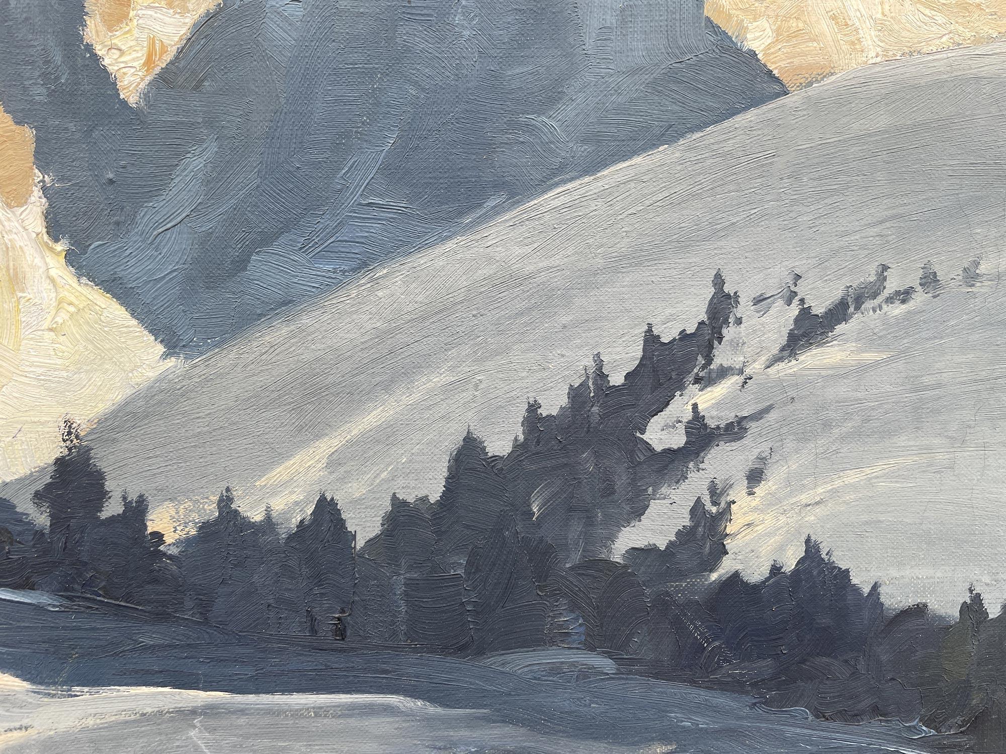 Winter in den italienischen Dolomiten Öl auf Leinwand von Georg Grauvogl im Angebot 3
